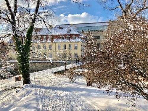 Imagen general del Hofg&auml;rtnerhaus. Foto 5