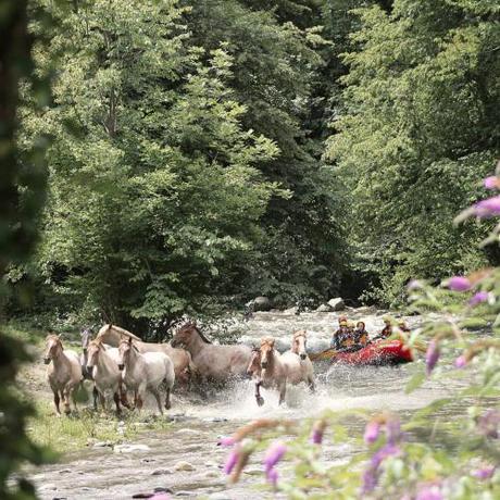 Imagen general del HolaCamp Aran Aventura. Foto 6