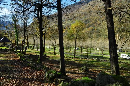 Imagen general del HolaCamp Aran Aventura. Foto 7