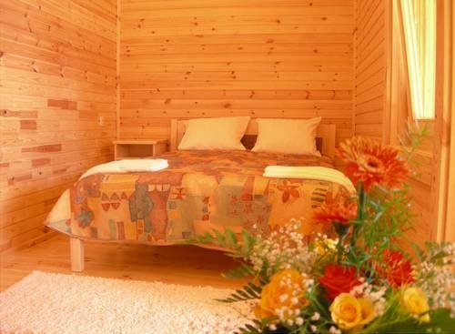 Imagen de la habitación del Holiday Complex Cirmas Ezerkrasts. Foto 3