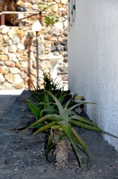 Imagen de los exteriores del Holiday Eolie Village. Foto 13