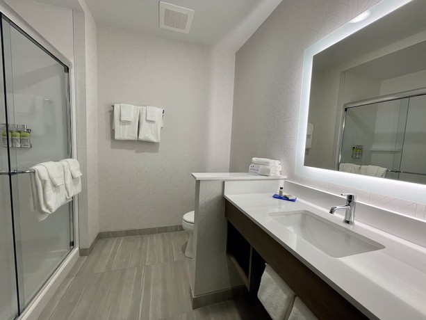 Imagen de la habitación del Holiday Inn Express & Suites - Ft. Smith - Airport, an IHG Hotel. Foto 5