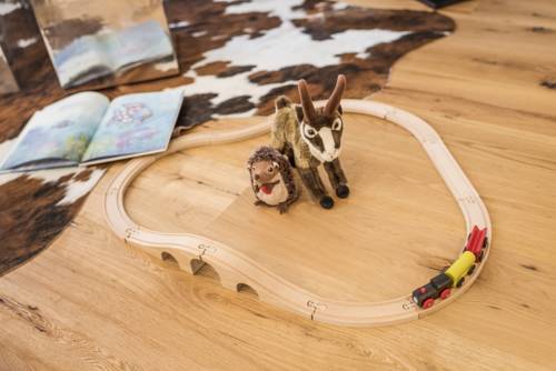 Imagen de la habitación del Holiday Village Andermatt Reuss. Foto 3