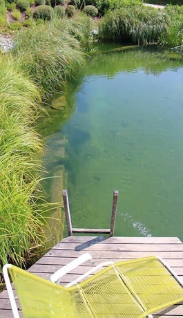 Imagen de la piscina del Holmernhof Dreiquellenbad Camping. Foto 14