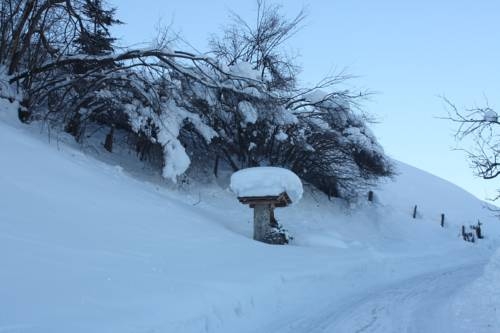 Imagen general del Holzlehenhof. Foto 14