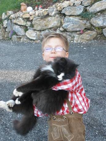 Imagen general del Holzlehenhof. Foto 26