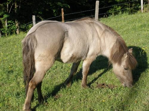 Imagen general del Holzlehenhof. Foto 29