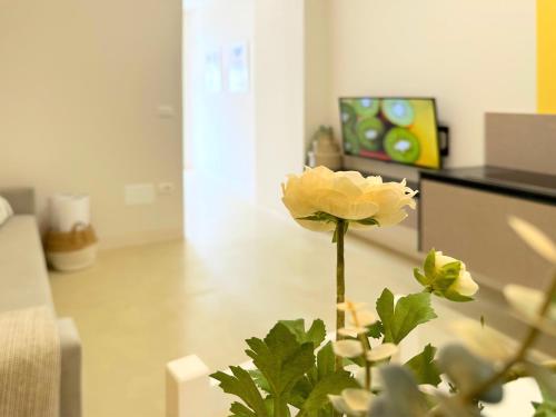 Imagen general del Home By The Sea - BRAND NEW. Foto 4