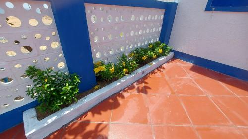 Imagen general del Homestay Bọt Biển I. Foto 3