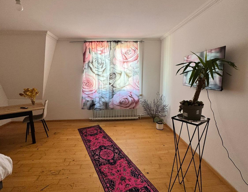 Imagen general del Homestay Zurich Center. Foto 9