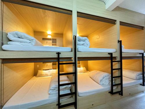 Imagen de la habitación del Hong Hao 2 Hostel & Motorbikes & TOURS. Foto 13