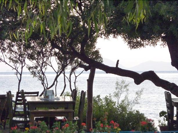 Imagen del bar/restaurante del Hoppala Pension. Foto 7