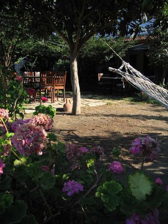 Imagen de los exteriores del Hoppala Pension. Foto 17