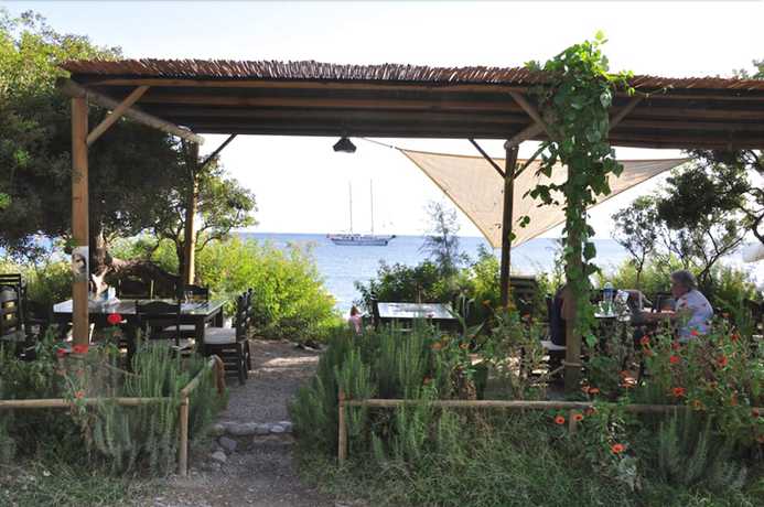 Imagen del bar/restaurante del Hoppala Pension. Foto 10