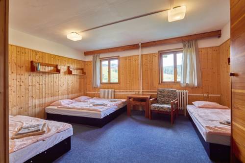 Imagen de la habitación del Horsk&yacute; hotel Žižkova bouda. Foto 2
