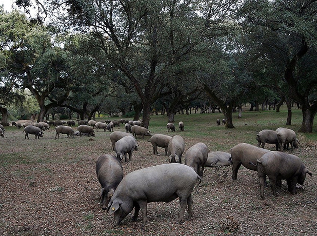 Imagen de los exteriores del Hospeder&iacute;a Reina De Los &Aacute;ngeles. Foto 3