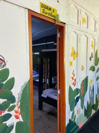 Imagen de la habitación del Hostal Las Mariposas Minca. Foto 11