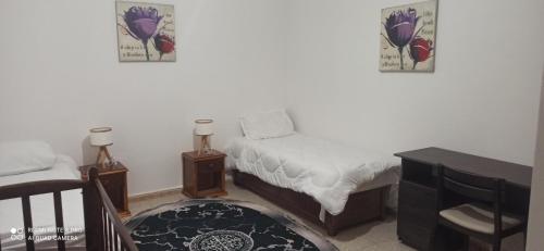 Imagen general del Hostel Apart. Foto 1