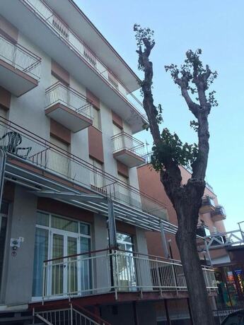 Imagen general del Hostel Bella Rimini. Foto 3