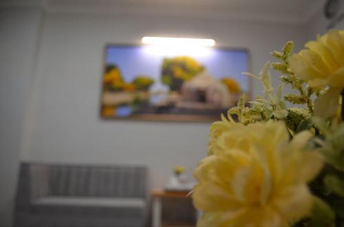 Imagen general del Hostel DANEXAN APA. Foto 2