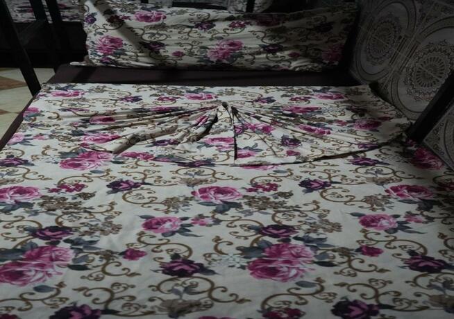 Imagen general del Hostel Dream belko. Foto 34