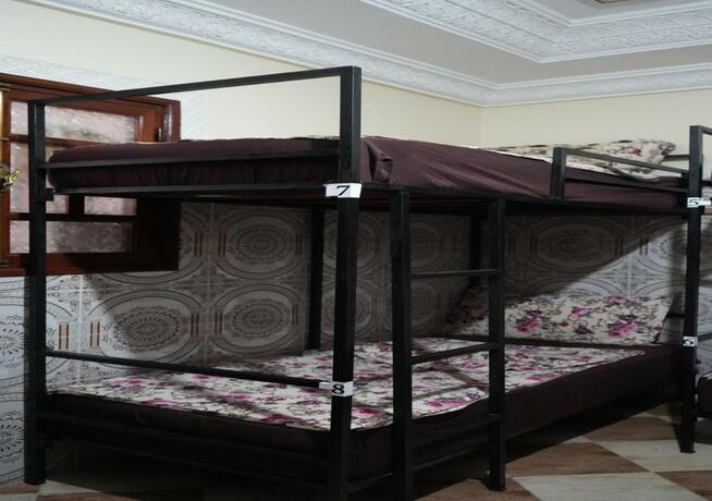 Imagen general del Hostel Dream belko. Foto 36