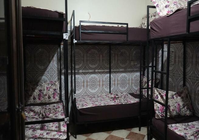 Imagen general del Hostel Dream belko. Foto 38