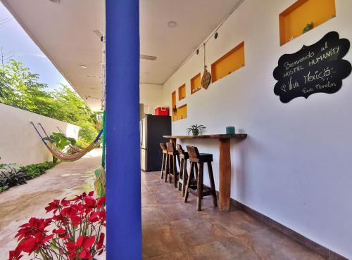 Imagen general del Hostel Humanity - Puerto Morelos. Foto 8