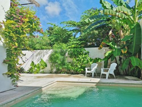 Imagen general del Hostel Humanity - Puerto Morelos. Foto 9
