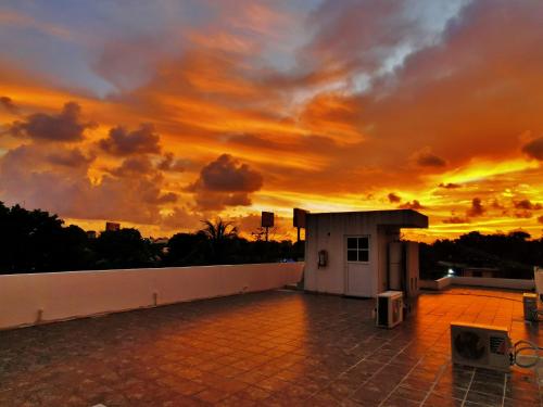 Imagen general del Hostel Humanity - Puerto Morelos. Foto 11