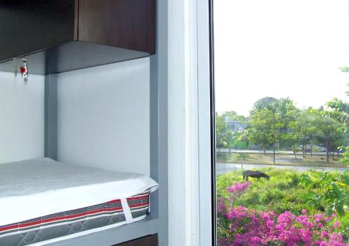 Imagen de la habitación del Hostel Humanity - Puerto Morelos. Foto 20