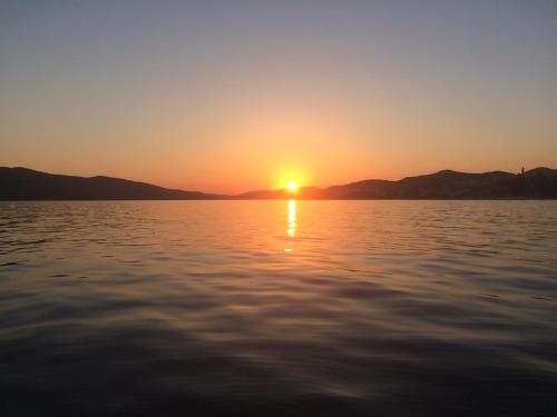 Imagen general del Hostel Marina Trogir. Foto 2