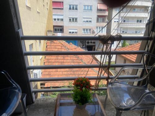 Imagen general del Hostel N&euml;n&euml; Terez&euml;s. Foto 10