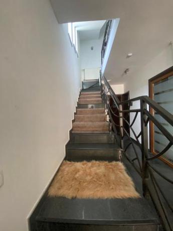 Imagen general del Hostel N&euml;n&euml; Terez&euml;s. Foto 14