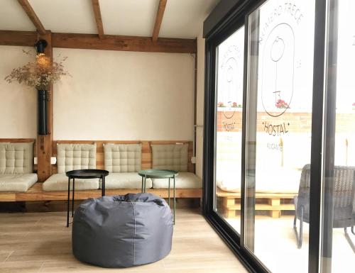 Imagen general del Hostel Numero Trece. Foto 11