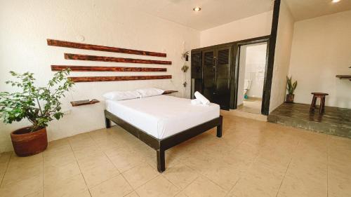Imagen de la habitación del Hostel Oryx Valladolid. Foto 12