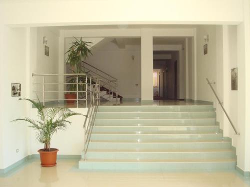 Imagen general del Hostel Stefania. Foto 6