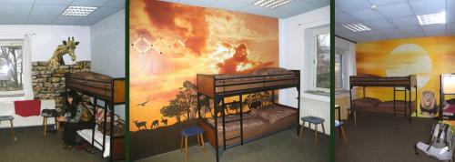 Imagen de la habitación del Hostel kangaroo-stop. Foto 14