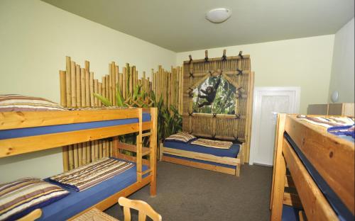Imagen de la habitación del Hostel kangaroo-stop. Foto 16