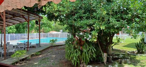 Imagen de la habitación del Hosteler&iacute;a mi Tesoro. Foto 11