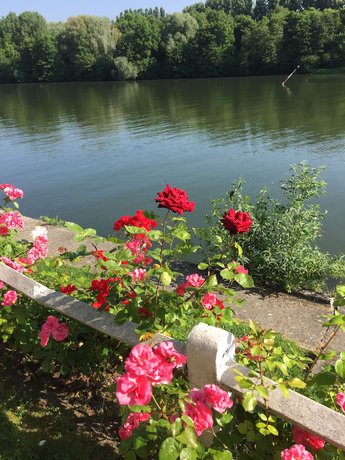 Imagen de los interiores del Hostellerie du Pavillon St Hubert. Foto 20