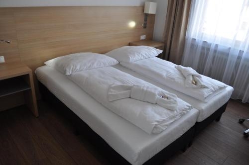 Imagen general del Hotel Adler, Friedrichshafen. Foto 4