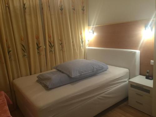 Imagen general del Hotel Adler, Grenzach-Wyhlen. Foto 2