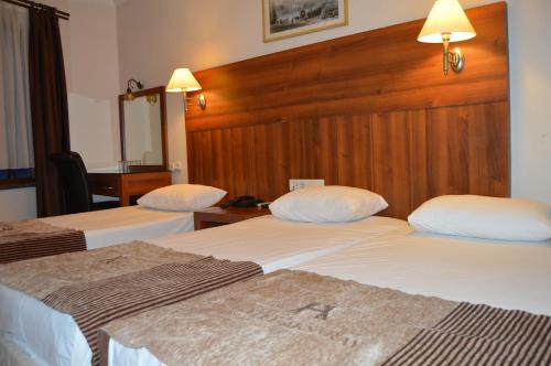Imagen de la habitación del Hotel Aksaray. Foto 6