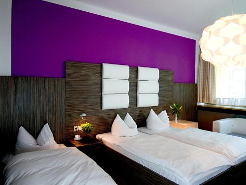 Imagen general del Hotel Albrechtshof. Foto 3