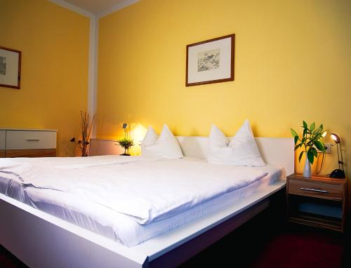 Imagen general del Hotel Albrechtshof. Foto 9