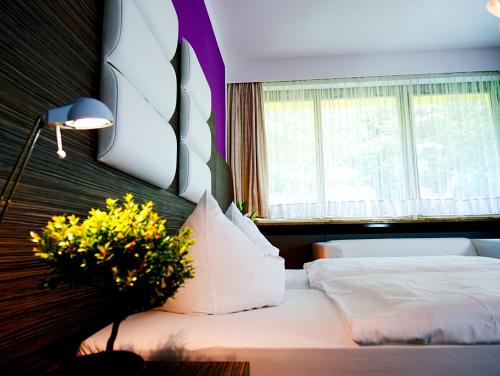 Imagen general del Hotel Albrechtshof. Foto 12