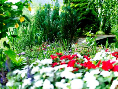 Imagen de la habitación del Hotel Albrechtshof. Foto 18