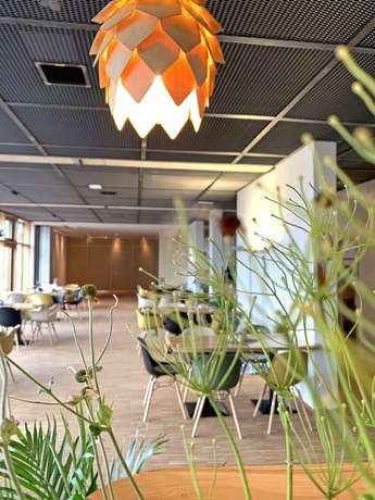 Imagen de los interiores del Hotel Alea Eco. Foto 17