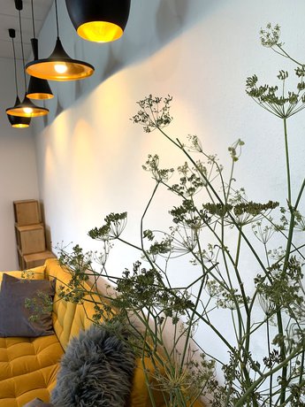 Imagen de los interiores del Hotel Alea Eco. Foto 20
